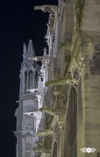 Gargouilles 1  Les gargouilles sont rassemblées sur une même façade de la cathédrale qui donne sur la rue 